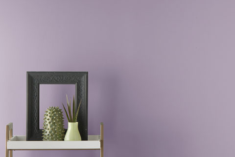 Find a Color That Speaks to You - The Perfect Finish Blog by KILZ®